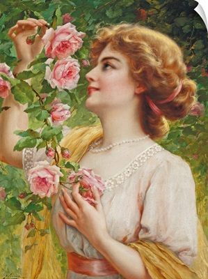 Fragrant Roses