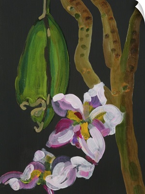Frangipani Flower, Bequia, 2008