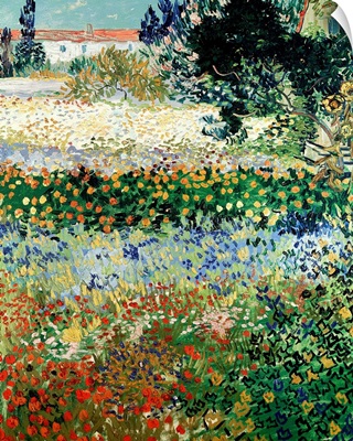 Garden in Bloom, Arles, 1888