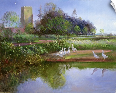 Geese at Sundown, 1991