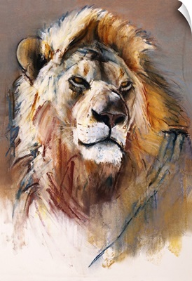 Gemsbok Lion, 2020