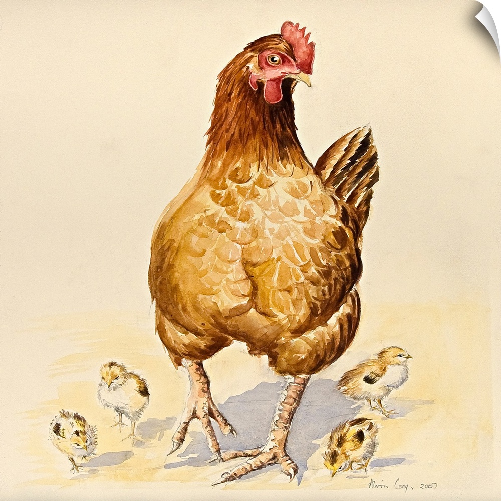 Contemporary painting of a mother hen and four small chicks.