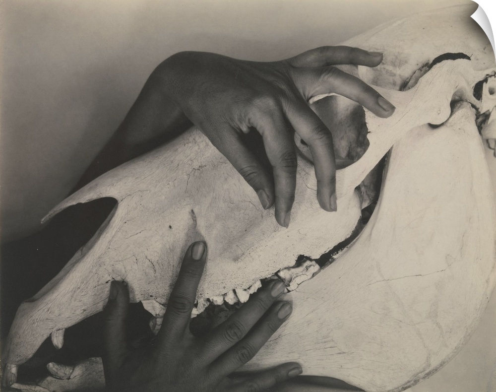 Gelatin silver print, 1931. Section of a composite portrait of the artist Georgia O'Keeffe (1887 - 1986), his wife. Stiegl...