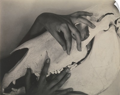 Georgia O'Keeffe-Hands and Horse Skull, 1931