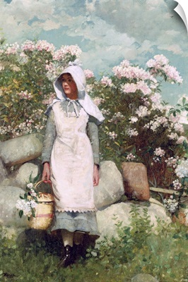 Girl and Laurel, 1879