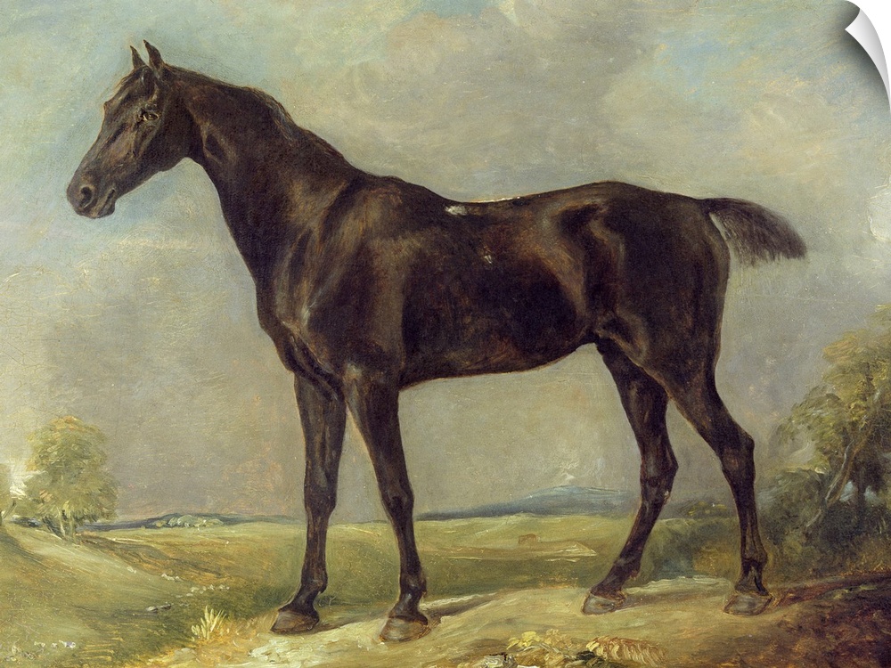 An oil painting of a black horse standing on a path with painted trees and foilage in the background.