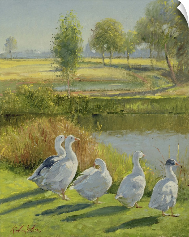 Gooseguard (oil on canvas) by Timothy Easton.