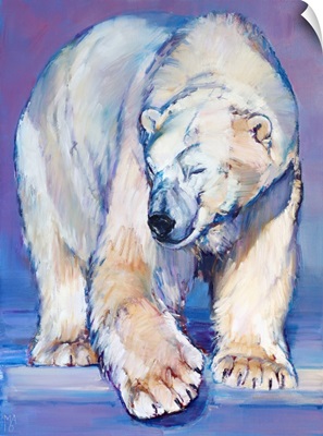 Great White Bear, 2016