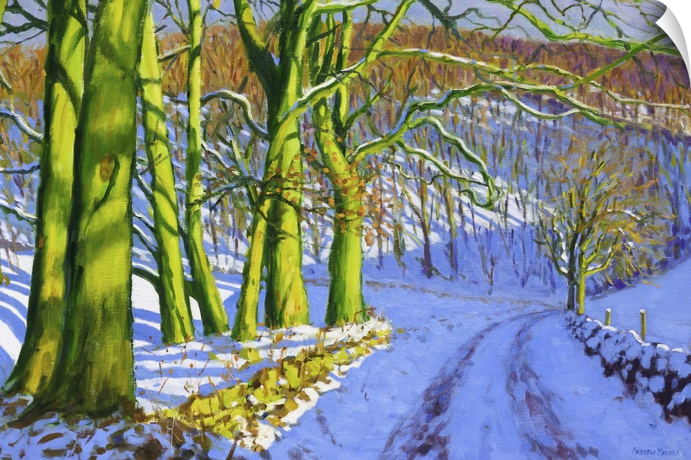 Green Trees, Winter, Dam Lane, Derbyshire, oil on canvas.  By Andrew Macara.