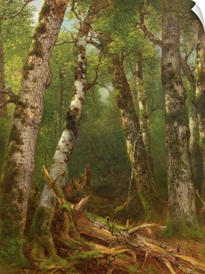 Group of Trees, 1855-77