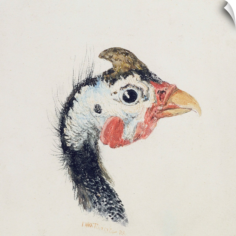 Guinea Fowl, from The Farnley Book of Birds, c.1816 by Joseph Mallord William Turner (1775-1851)Leeds Museums and Gallerie...