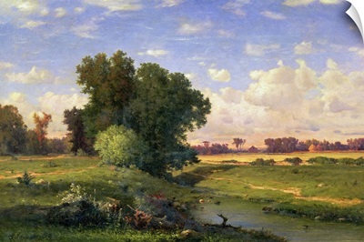 Hackensack Meadows, Sunset, 1859
