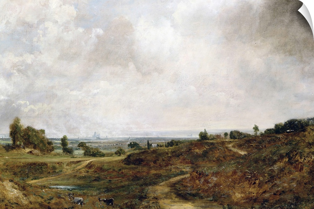 AGN356103 Credit: Hampstead Heath (oil on canvas) by John Constable (1776-1837)Private Collection/ Photo A Agnew's, London...