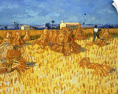 Harvest in Provence, June 1888