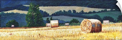 Haybales on hillside, oil on canvas