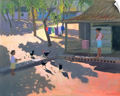 Hens and Chickens, Cuba, 1997