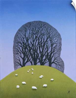Hilltop With Sheep, 2017