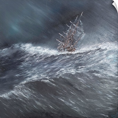 HMS Beagle in a storm off Cape Horn I