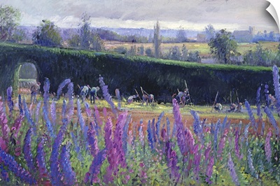 Hoeing Against The Hedge, 1991