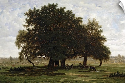 Holm Oaks, Apremont, 1850 52