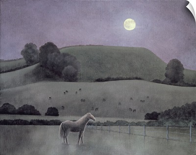 Horse in Moonlight, 2005