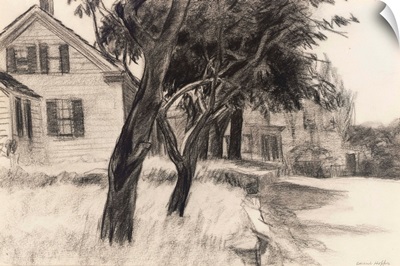 House and Trees, Gloucester