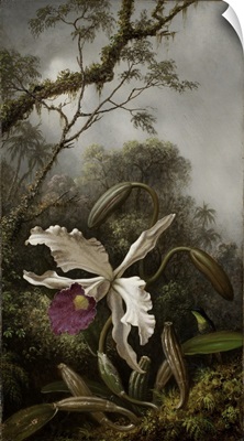 Hummingbird With White Orchid, 1875-1885