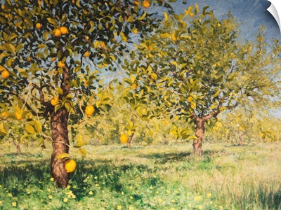 Impossibility Of A Lemon Tree, 2013