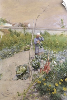 In the Kitchen Garden, 1883