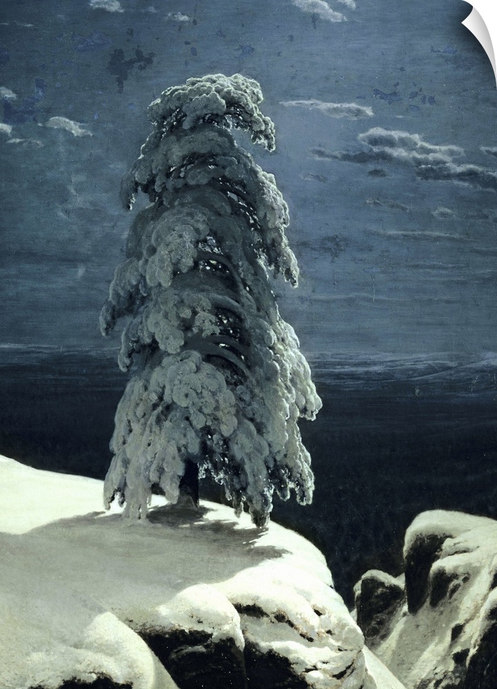 BAL57763 In the Wild North, 1891 (oil on canvas)  by Shishkin, Ivan Ivanovich (1832-98); 161x118 cm; Kiev Museum of Ukrani...