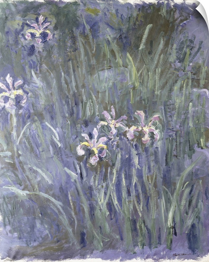 Iris, 1914-1917