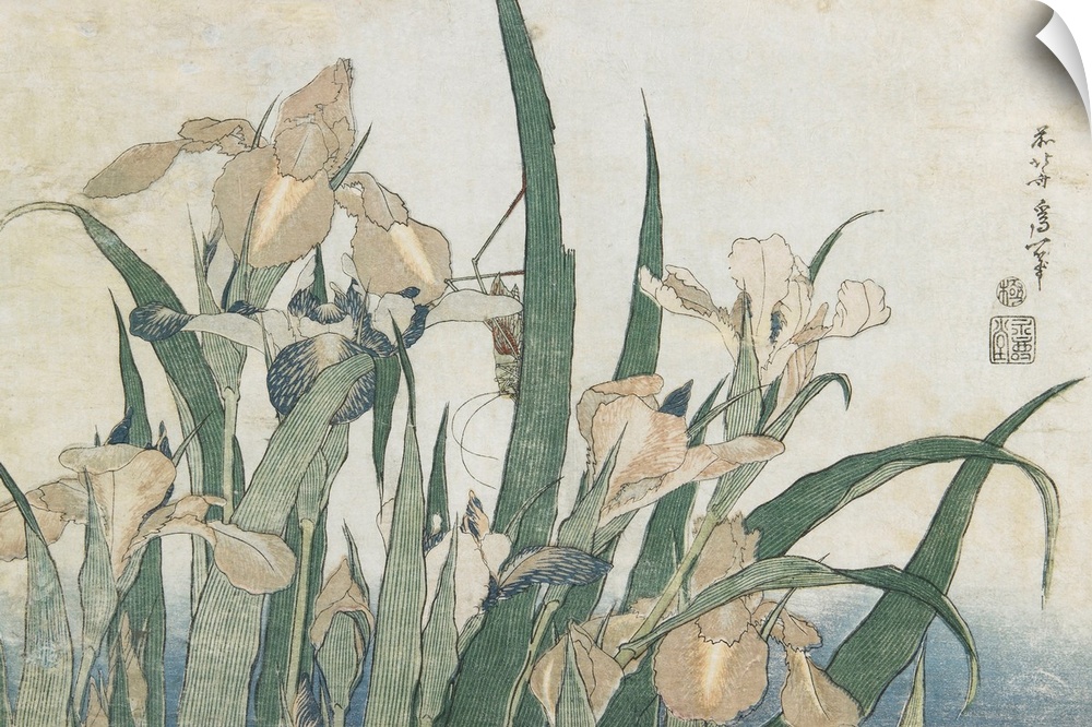 MNS622269 Iris Flowers and Grasshopper, c.1830-31 (colour woodblock print) by Hokusai, Katsushika (1760-1849); 24.2x36 cm;...