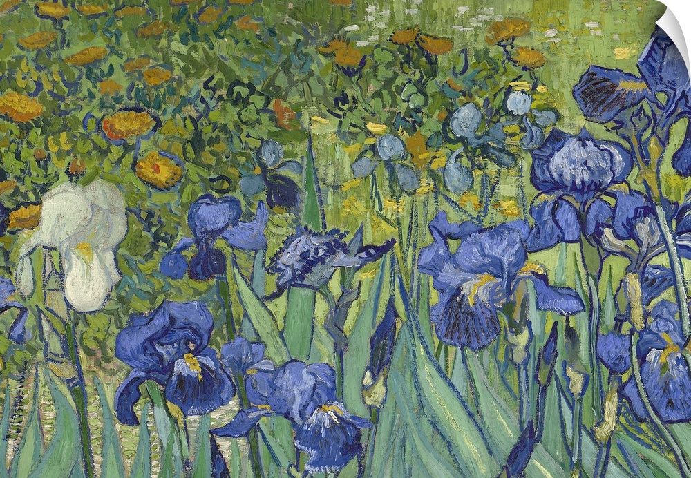 Irises, 1889 (Detail)