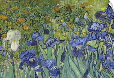 Irises, 1889 (Detail)