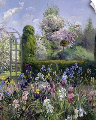 Irises in the Formal Gardens, 1993