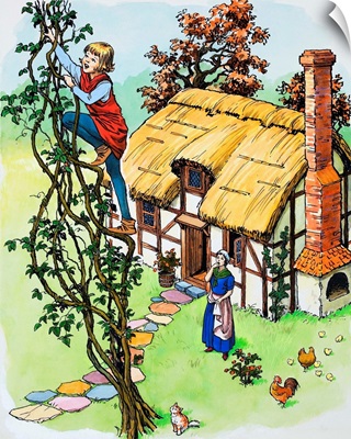 Jack climbs the beanstalk, illustration from 'Jack and the Beanstalk', 1969