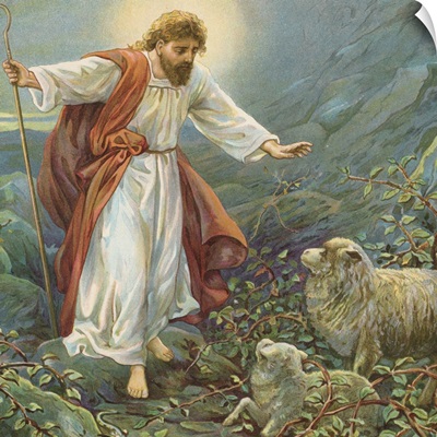 Jesus Christ, the tender shepherd
