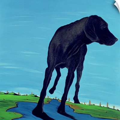 Joe's Black Dog (new view), 2000