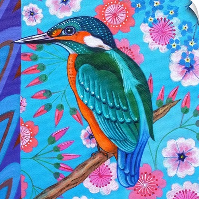 Kingfisher, 2016