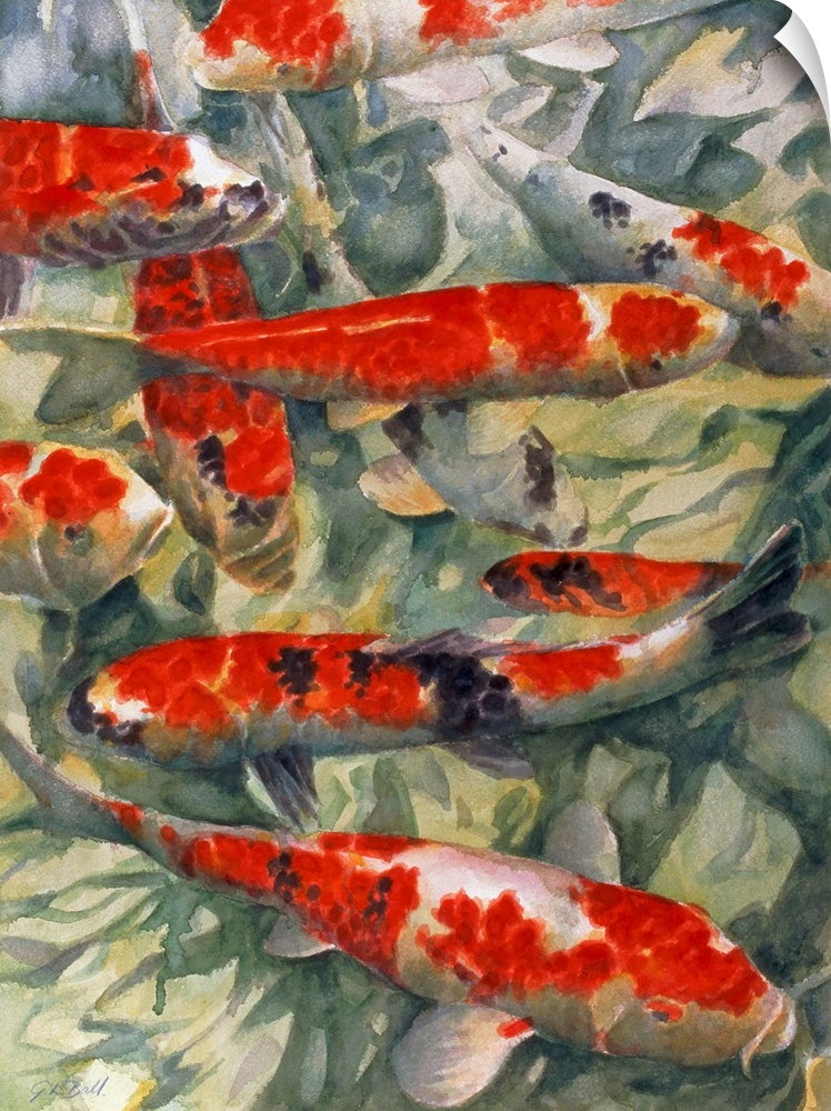 Contemporary painting of a group of red and white koi fish in a pond.