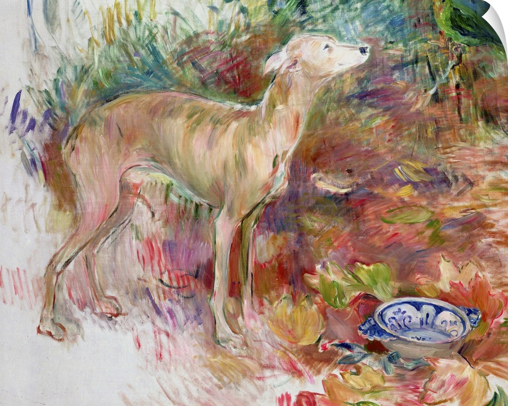 XIR179372 Laerte the Greyhound, 1894 (oil on canvas); by Morisot, Berthe (1841-95); 81x100 cm; Private Collection; Giraudo...
