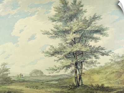 Landscape with Trees and Figures, c.1796