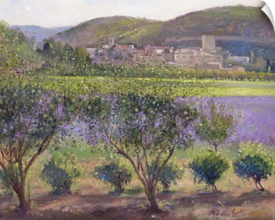 Lavender Seen Through Quince Trees, Monclus