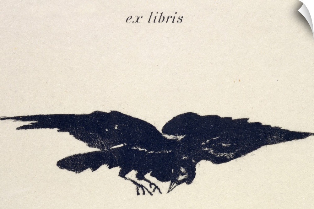 Large, horizontal artwork of an illustrated raven flying on a light, neutral background.  Text at the top reads "ex libris...