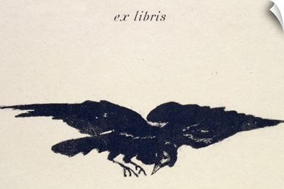 Le Corbeau (The Raven), 1875