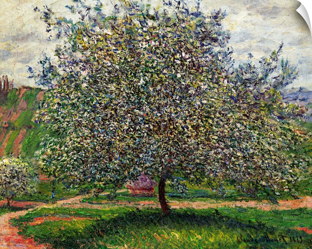 Le Pommier, 1879 (originally oil on canvas) by Monet, Claude (1840-1926)