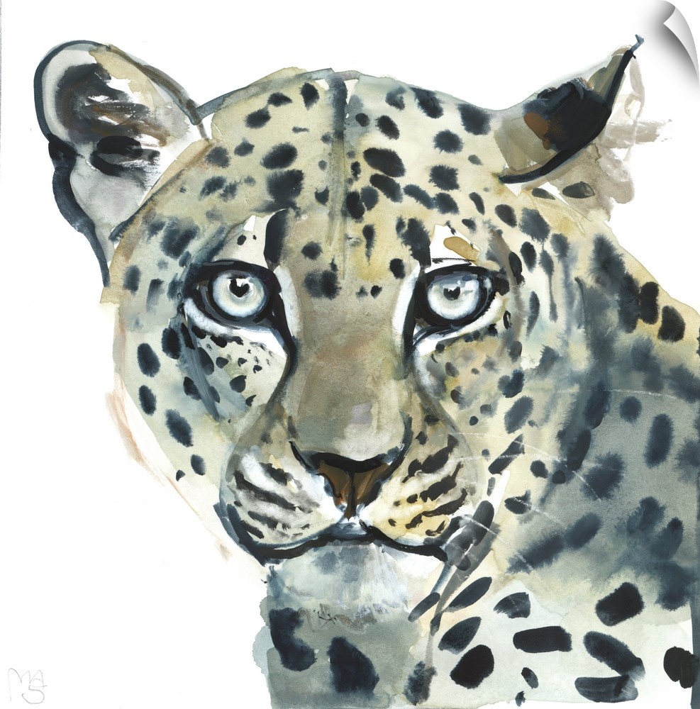 Leopard, 2015, (watercolour on paper) by Mark Adlington.