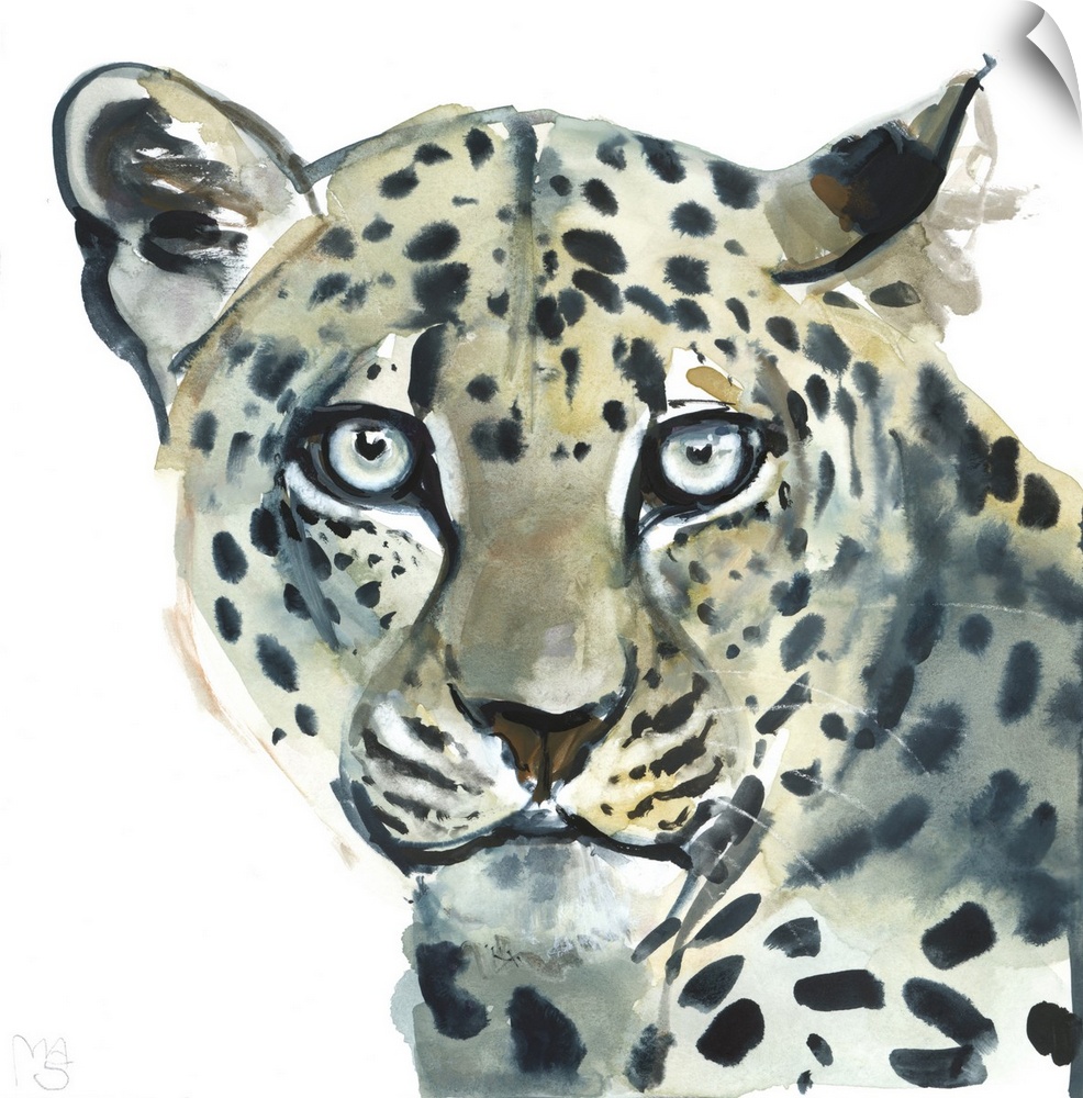 Leopard, 2015, watercolour on paper.  By Mark Adlington.