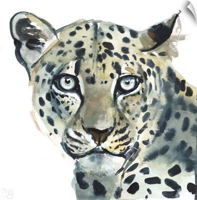 Leopard, 2015