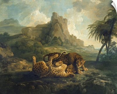 Leopards at Play, c.1763 8